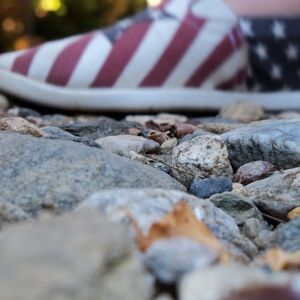 Meet your Posher, Bella